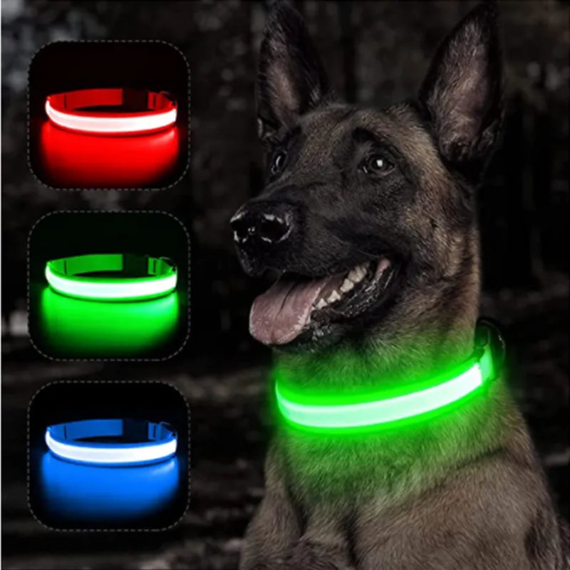 LED Dog Collars (Copy) TEST