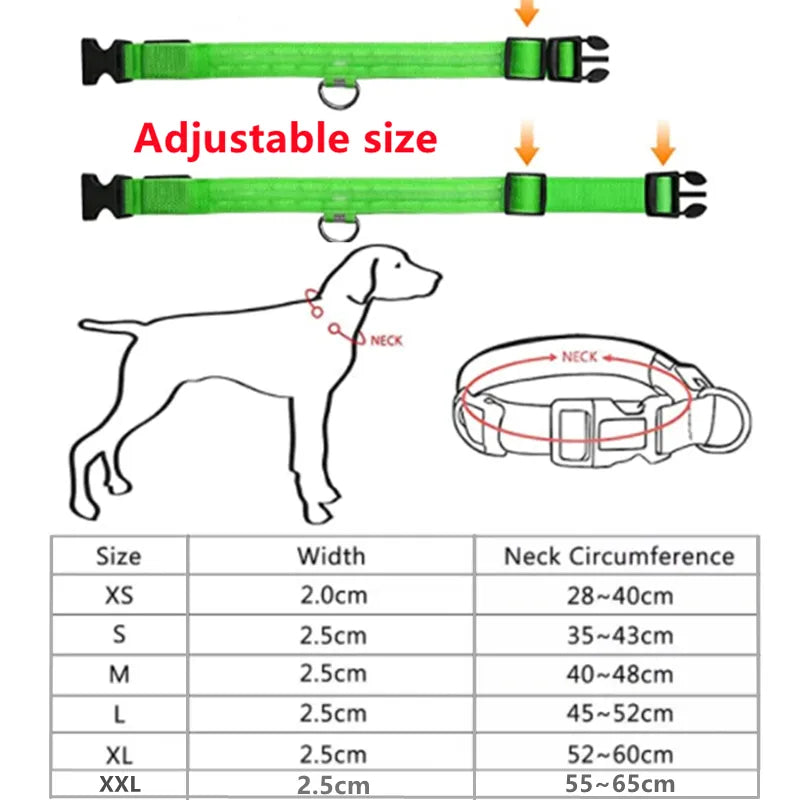 LED Dog Collars (Copy) TEST