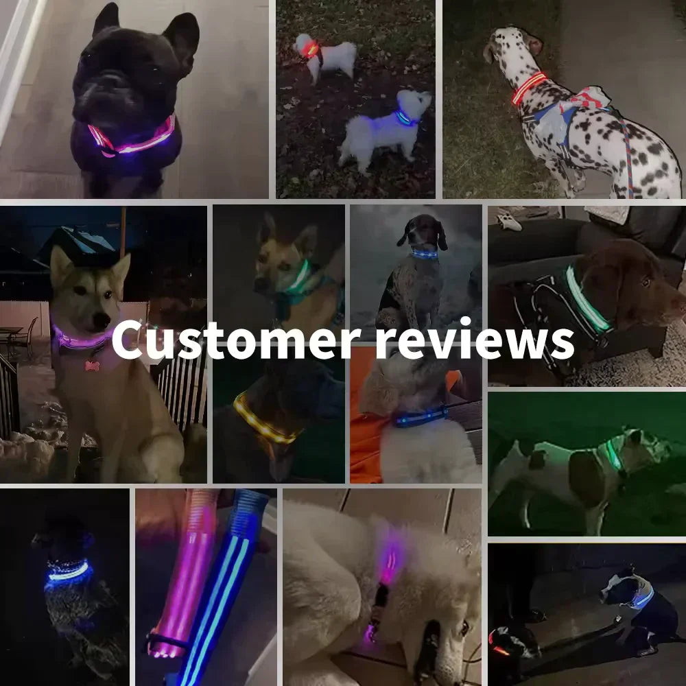 LED Dog Collars (Copy) TEST