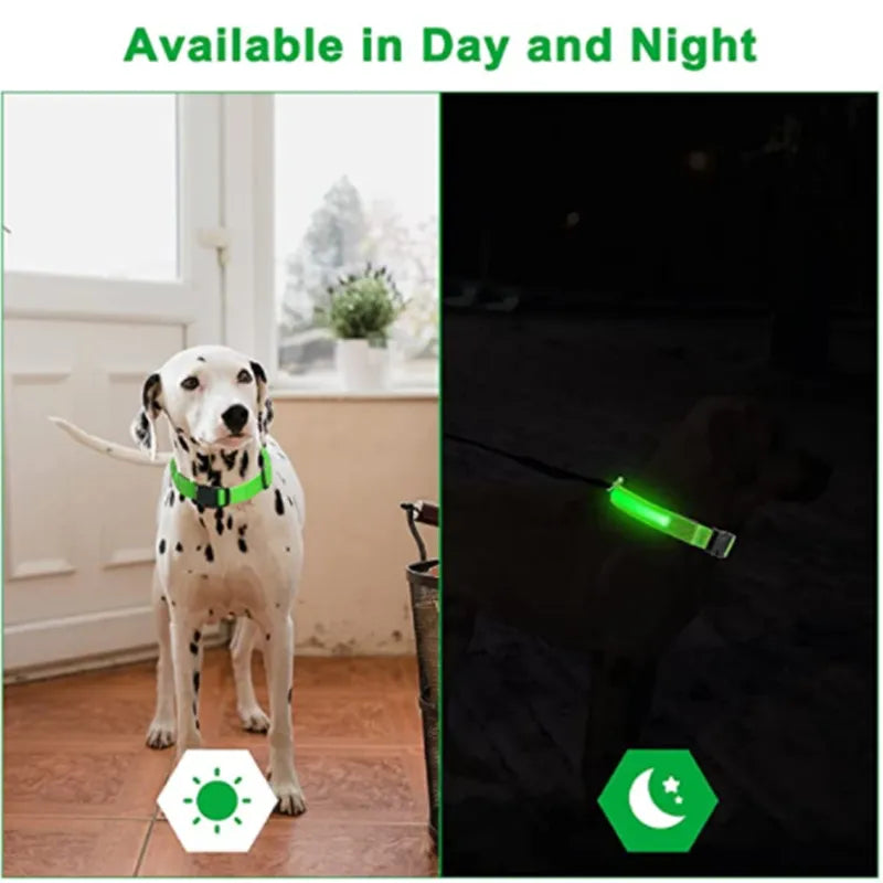 LED Dog Collars (Copy) TEST